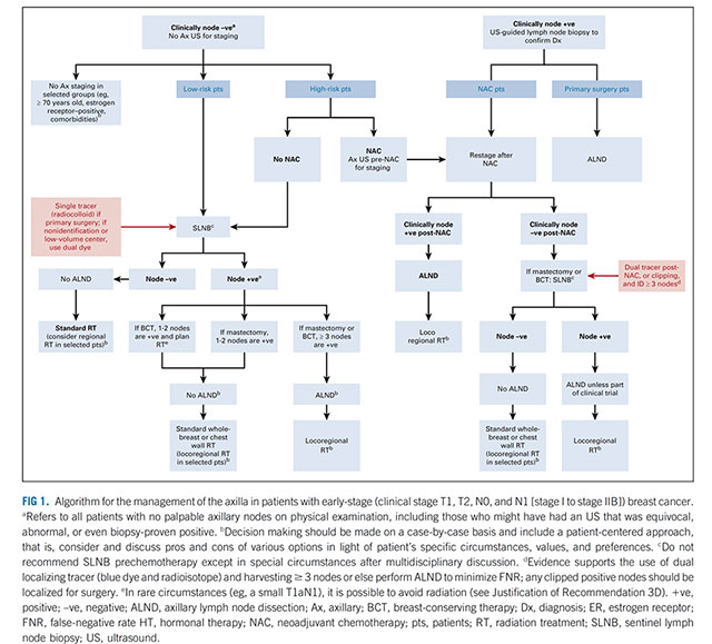 Breast Cancer Clinical Guidelines Breast Cancer Surgery Melbourne VIC