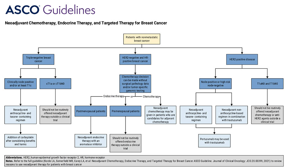 Breast Cancer Clinical Guidelines 3 Big Img 